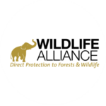 logo-wildlifealliance-400x400